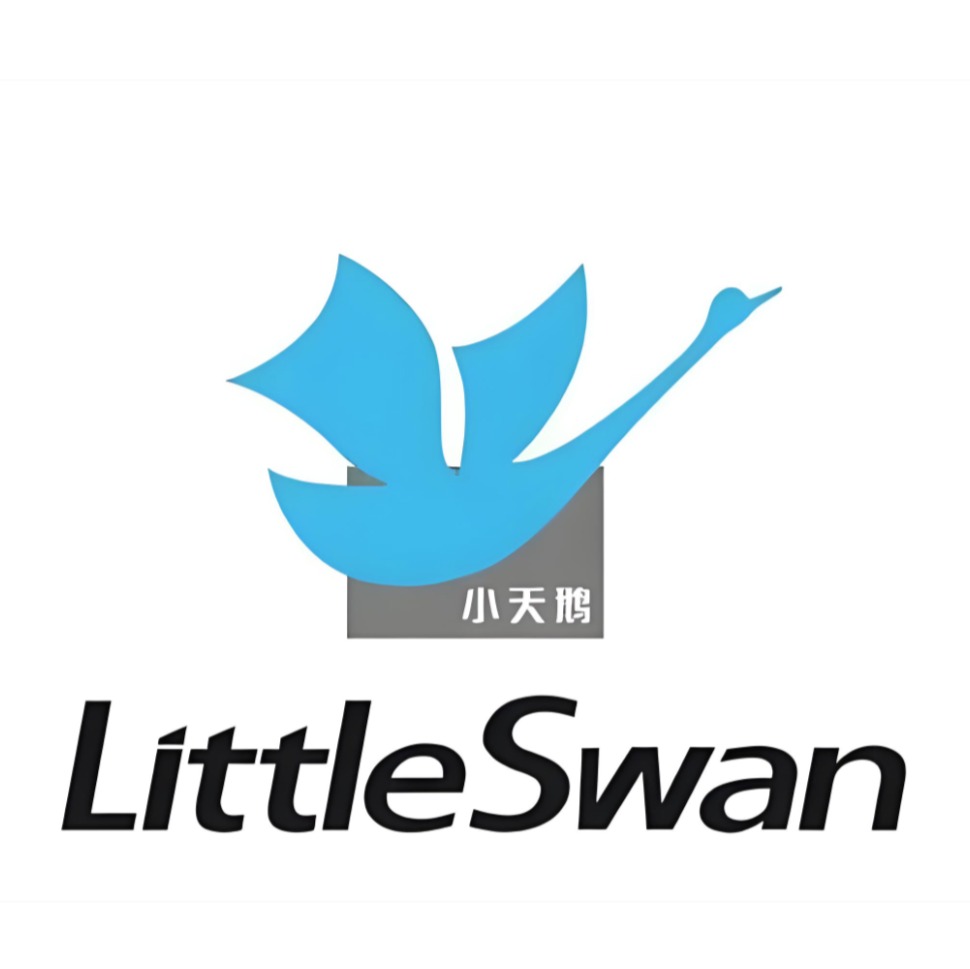 小天鹅